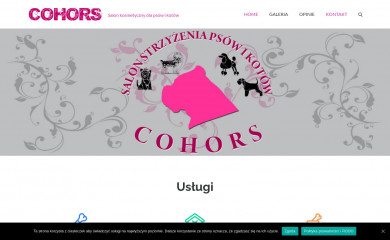 cohors.com.pl screenshot