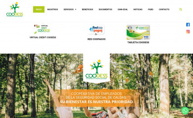 coodess.com.co screenshot