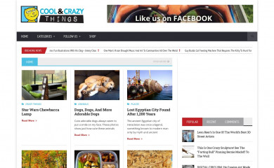 coolandcrazythings.com screenshot