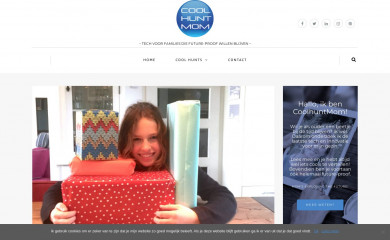 coolhuntmom.com screenshot