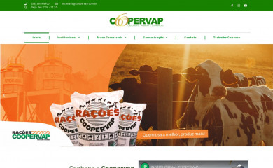 coopervap.com.br screenshot