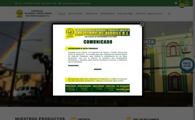 coopsanpedroaiquile.com screenshot