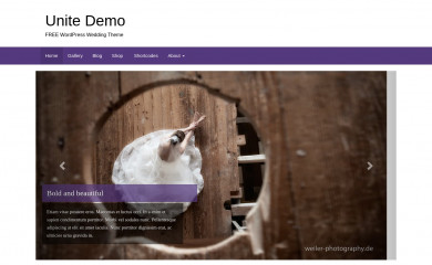 https://colorlib.com/unite/ screenshot