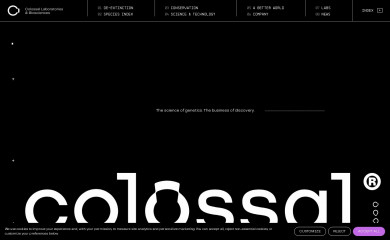 colossal.com screenshot