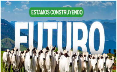 colbeef.com screenshot