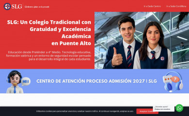colegioinglessanluisgonzaga.cl screenshot