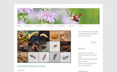 colinpurrington.com screenshot