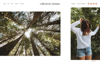 collectivelychristine.com screenshot