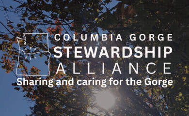 columbiagorgetourismalliance.org screenshot