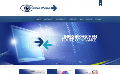 commerceefficace.fr screenshot