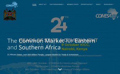 comesa.int screenshot