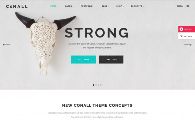 https://conall.qodeinteractive.com/ screenshot