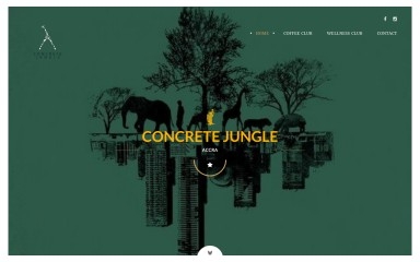 concretejungleaccra.com screenshot