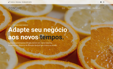 conexosolucoes.com.br screenshot