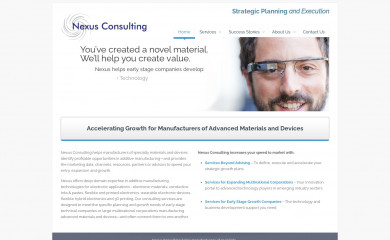 consult-nexus.com screenshot