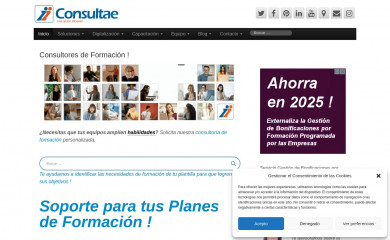 consultae.es screenshot