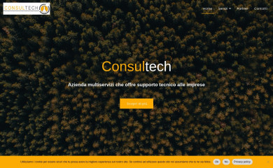 consultech-torino.it screenshot