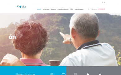 consultingbcs.net screenshot