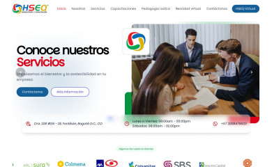consultoriaycapacitacionhseq.com screenshot