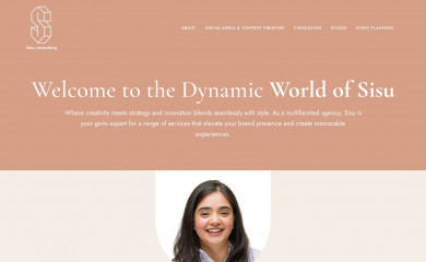 consultsisu.com screenshot