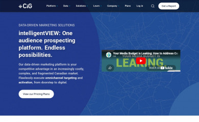 consumerig.com screenshot