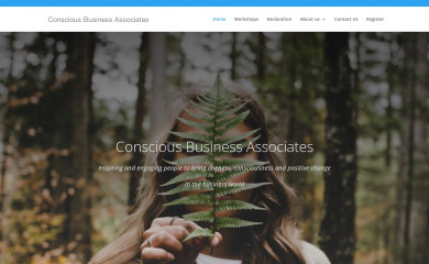consciousbusinessassociates.co.nz screenshot