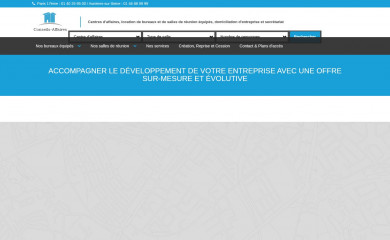 conseils-affaires.fr screenshot