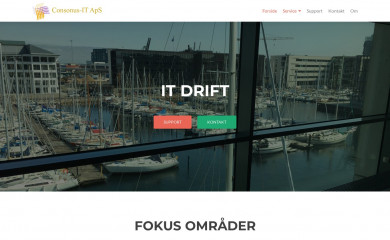 consonus-it.dk screenshot