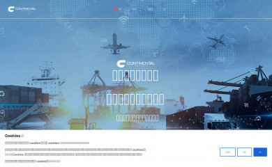 contin-global.com screenshot