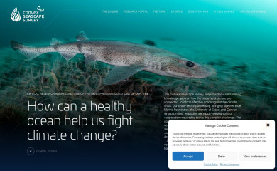 convexseascapesurvey.com screenshot