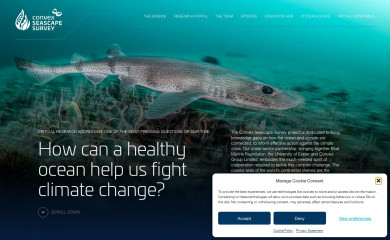 convexseascapesurvey.com screenshot