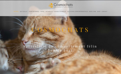 cosmochats.com screenshot