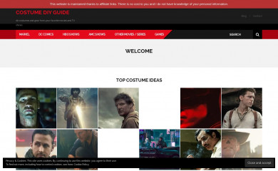 costumediyguide.com screenshot