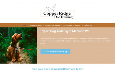 copperridgetraining.com screenshot
