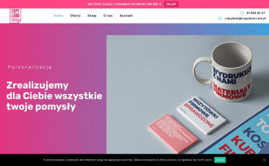 copyland.com.pl screenshot