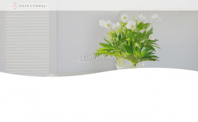 core-lifeway.com screenshot