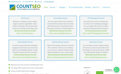 countseo.com screenshot