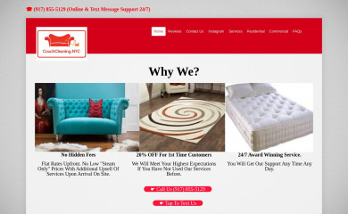 couchcleaning.nyc screenshot