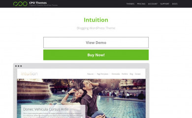 https://www.cpothemes.com/theme/intuition screenshot