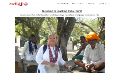 crackingindiatours.com screenshot