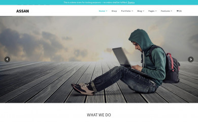 http://crazy-themes.com/demo/assan screenshot