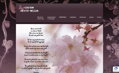 creatief-welzijn.be screenshot
