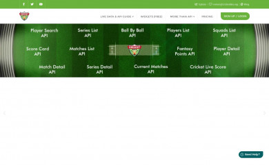 cricketdata.org screenshot