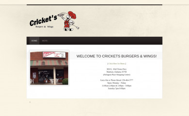 cricketswings.com screenshot