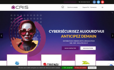 cris-reseaux.com screenshot