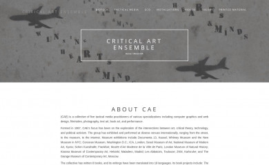 critical-art.net screenshot