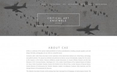 critical-art.net screenshot