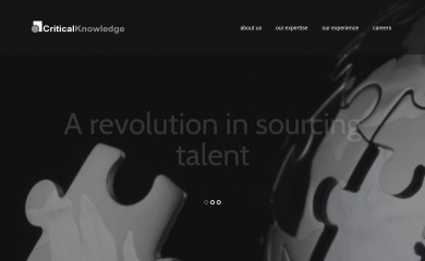 criticalknowledge.com screenshot