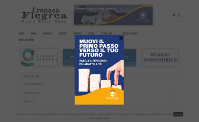 cronacaflegrea.it screenshot