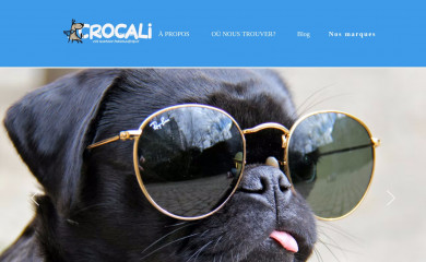 crocali.com screenshot